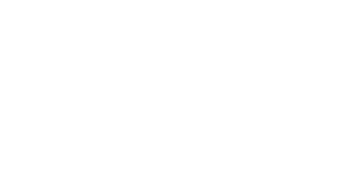 ANA Seguros