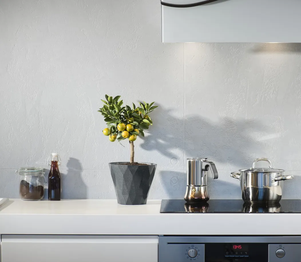 Cocina de una vivienda, solución de hogar